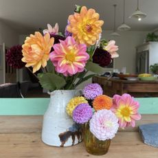 dahlias in a jug