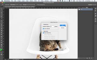 Screenshot of Make selection dialogue box open in Photoshop