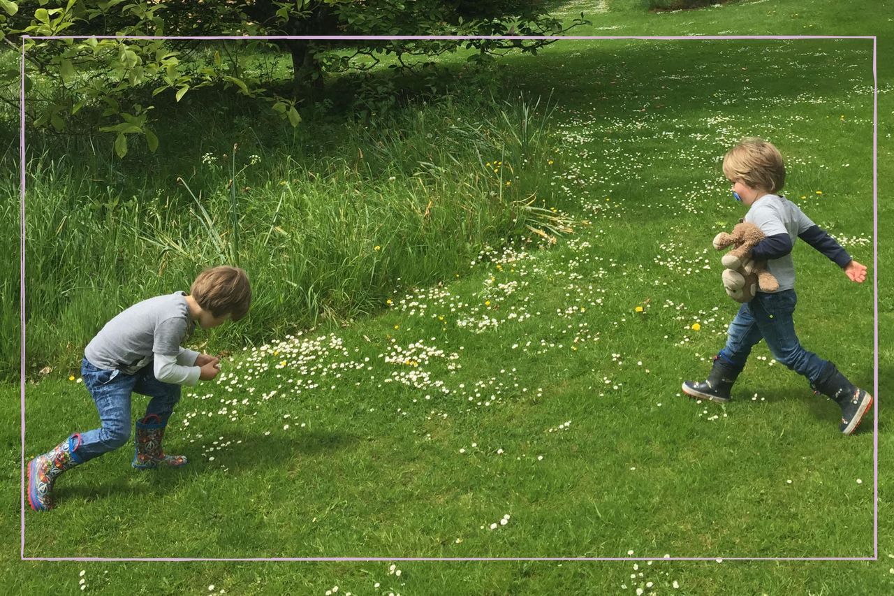 Two little boys playing in a field