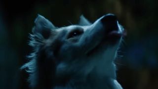 Dog howling in the moonlight in Nightbitch