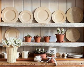 Open shelves in kitchen with terracotta plates