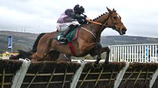 Teahupoo and Jack Kennedy en-route to winning the 2024 Stayers&rsquo; Hurdle at the Cheltenham Festival