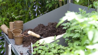 composting – tray of compost and plant pots ready for planting