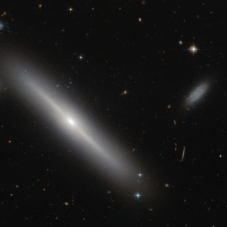 Star clusters hover around a distant galaxy like bees around a hive in this latest featured image from the Hubble Space Telescope. It shows the edge-on galaxy NGC 5308, which is 100 million light-years from Earth.