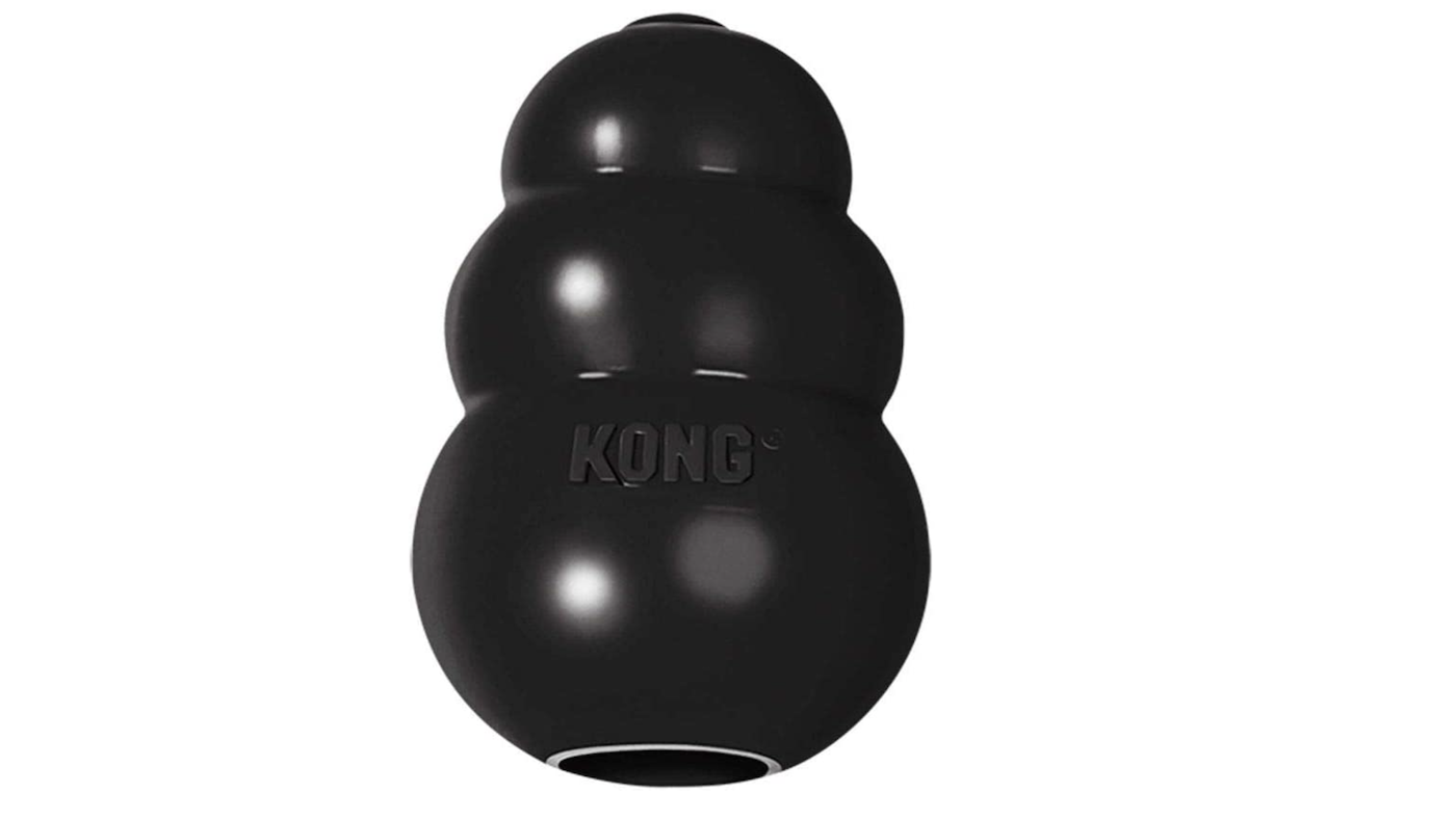 Kong extreme dog chew toy