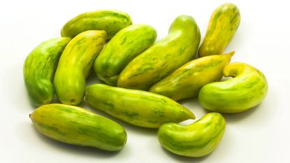 a variety of long green tomatoes on white background 