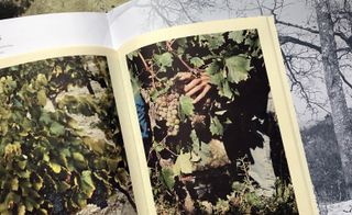 book open at a page showing someone touching grapes on a vine
