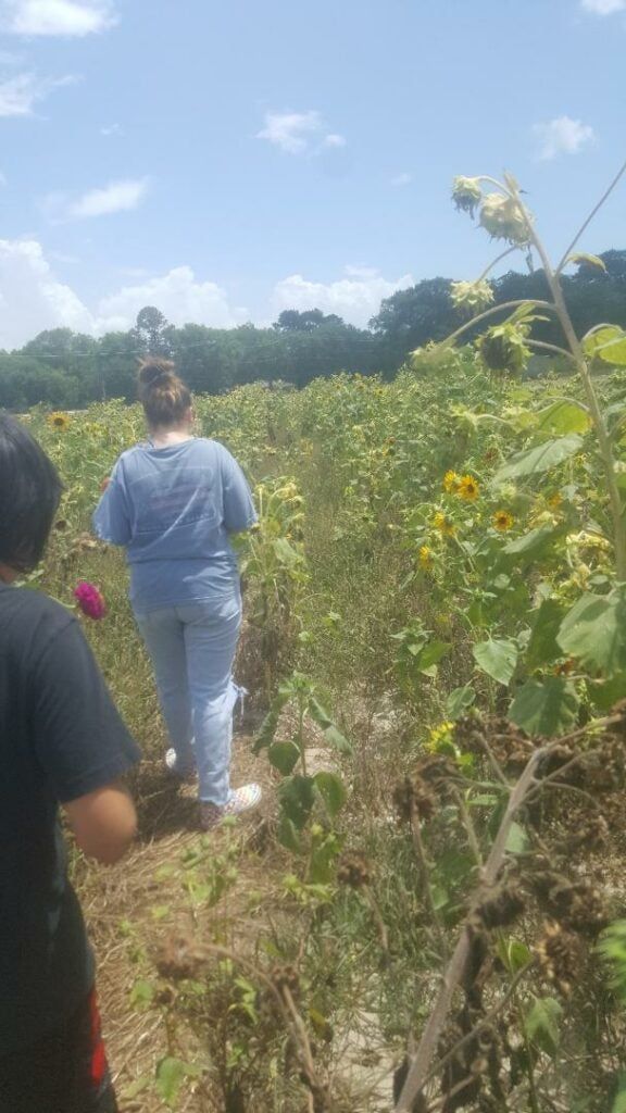 Kinder Youth Gardens | Gardening Know How