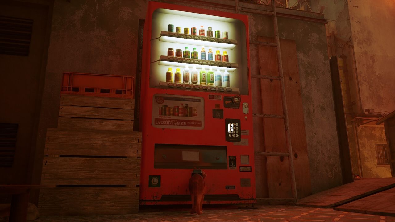 stray vending