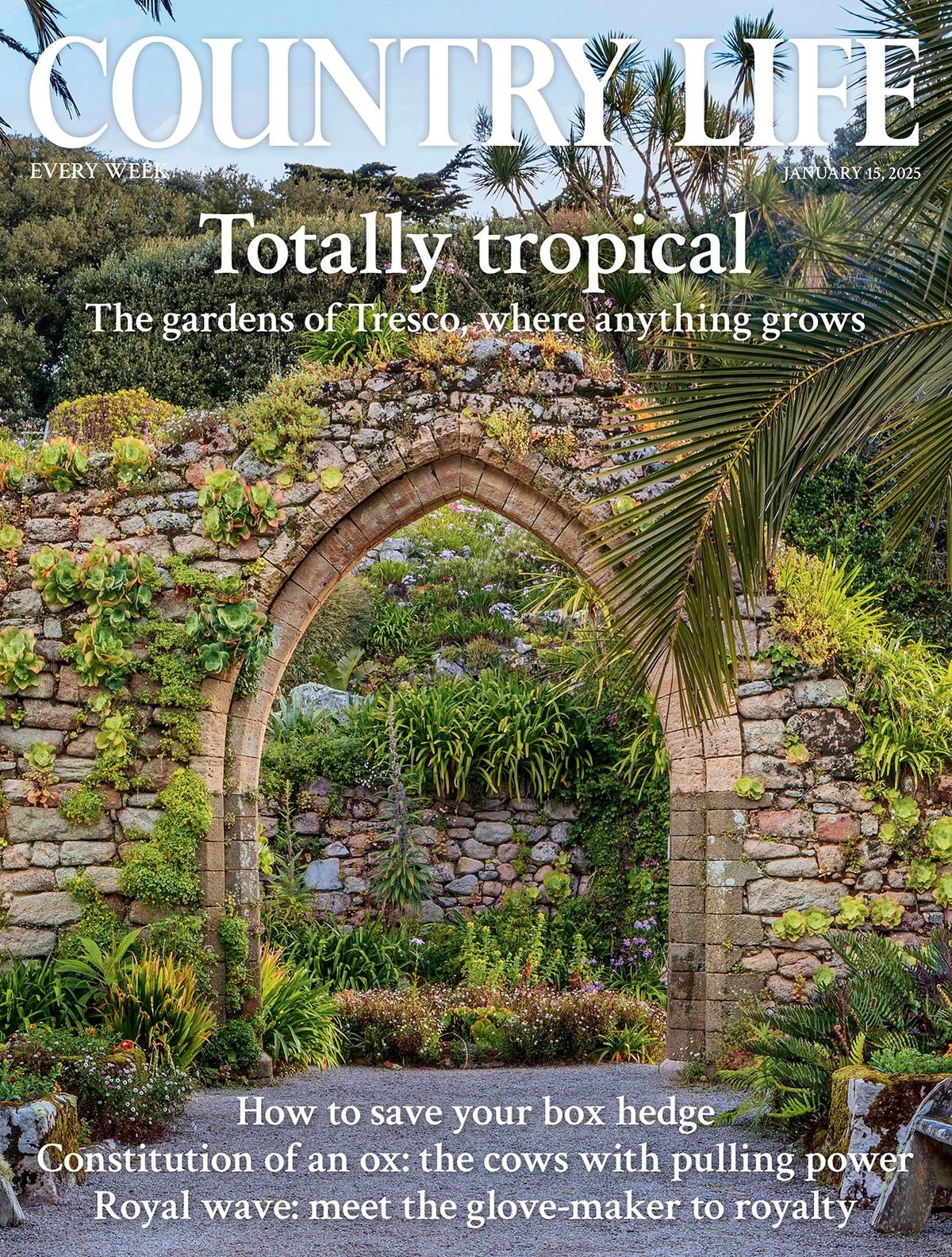 Country Life 15 January 2025 | Country Life