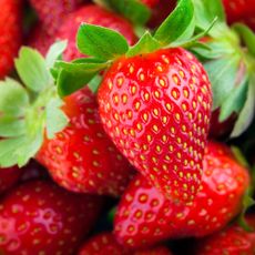 Big juicy strawberries