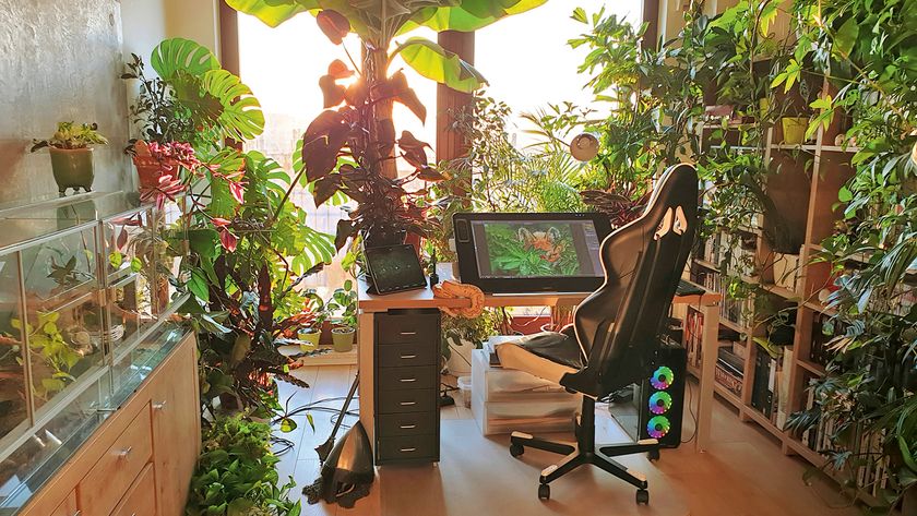A photo of an artist studio full of plants