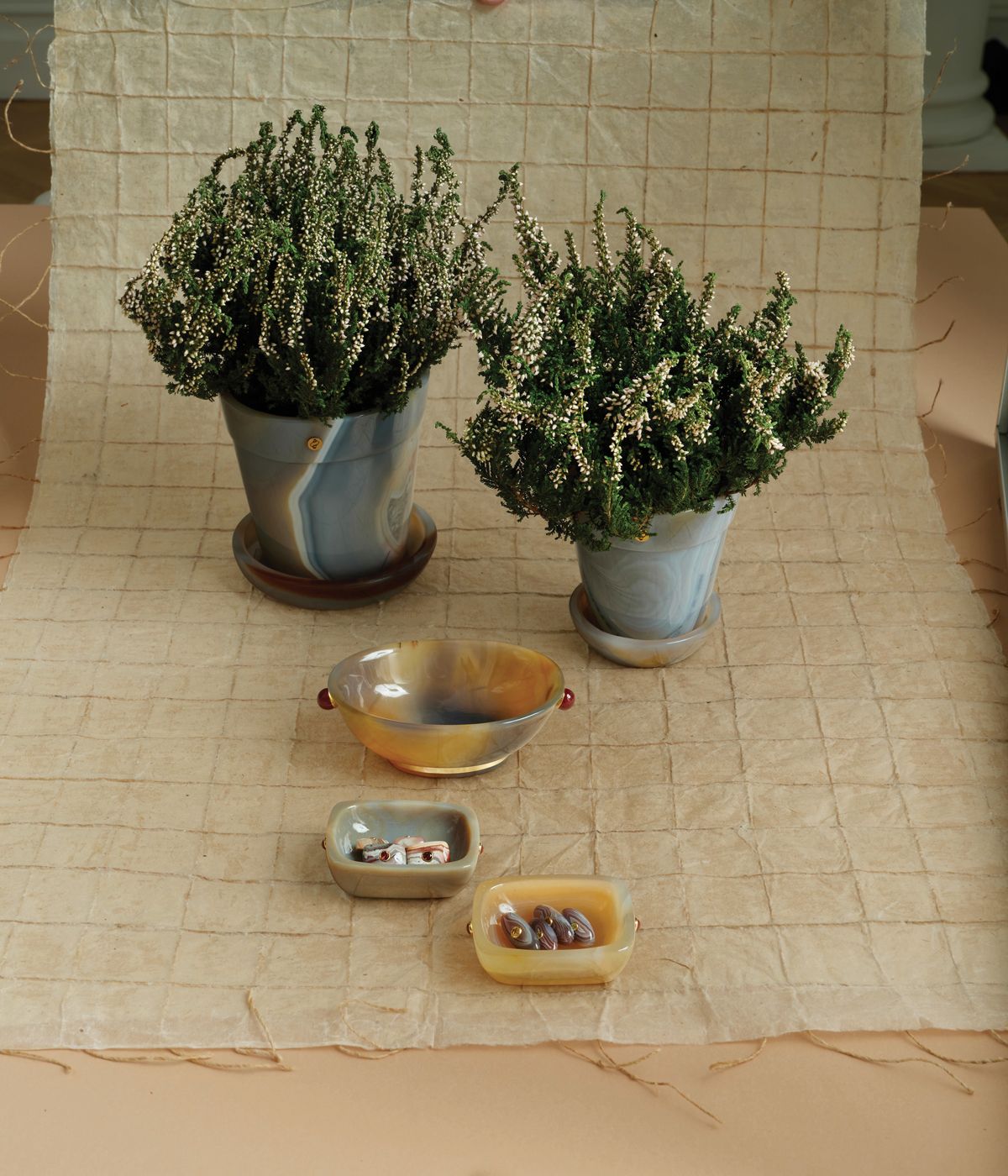 plants in pots and small bowls