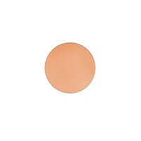 MAC Studio Finish Concealer (Pro Palette Refill Pan), $14, maccosmetics.com (£13.50 UK)