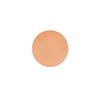 MAC Studio Finish Concealer (Pro Palette Refill Pan), $14, maccosmetics.com (£13.50 UK)