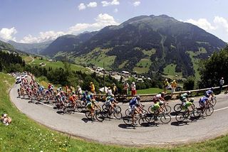 The main bunch at the 2006 Tour de France