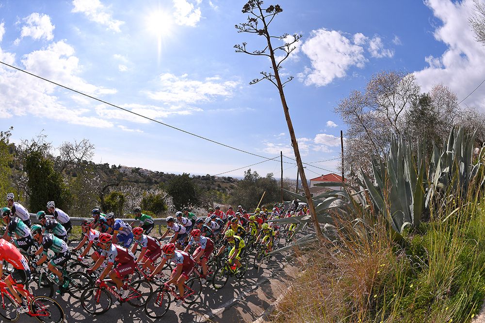 The Algarve peloton in action during stage 5
