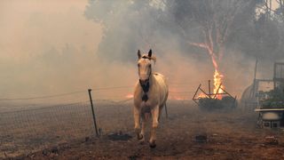 Australia wildfires, 2019.