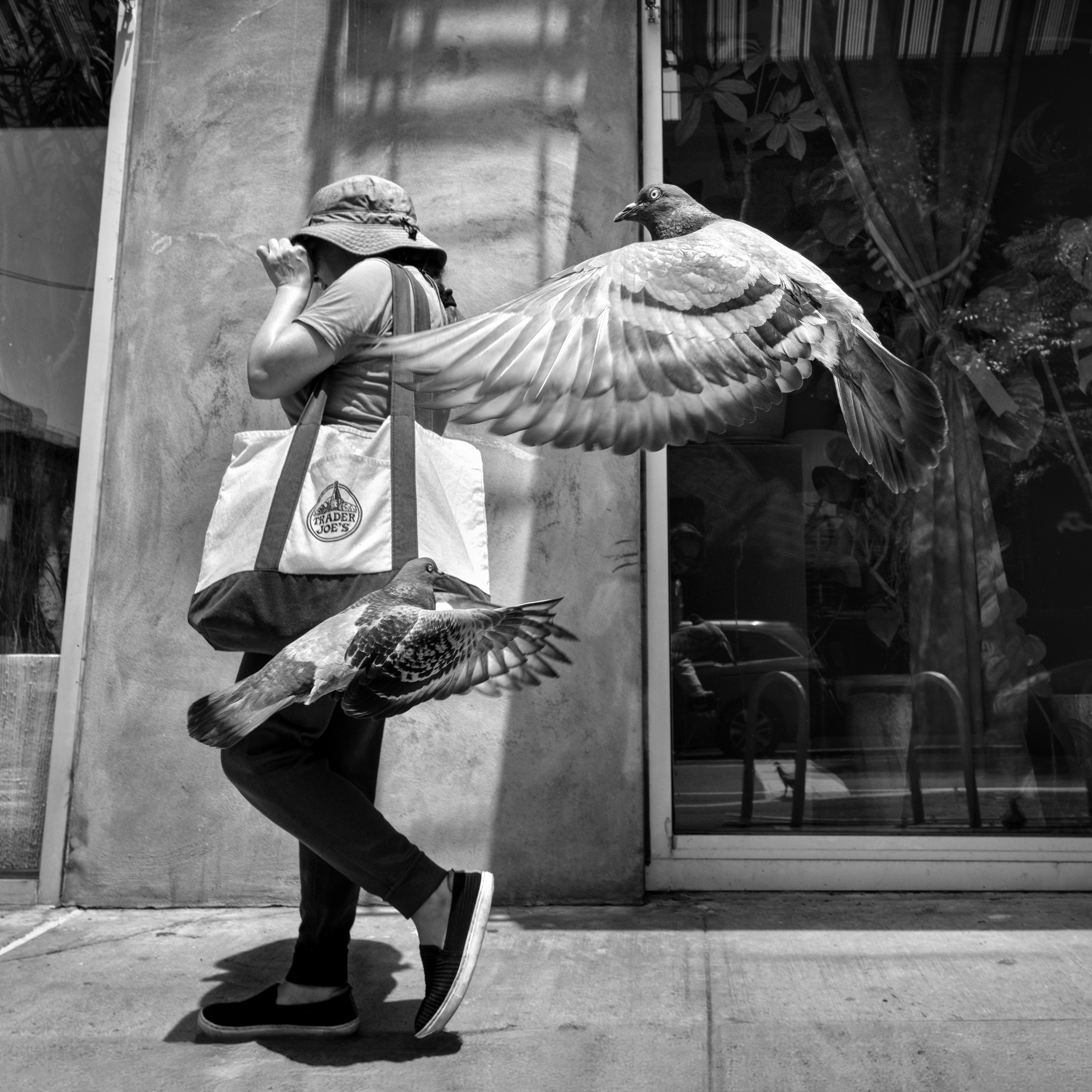 A photograph by Irys founder Alan Schaller