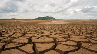 The cracked surface of a dry lake bed