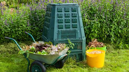 compost bin in garden