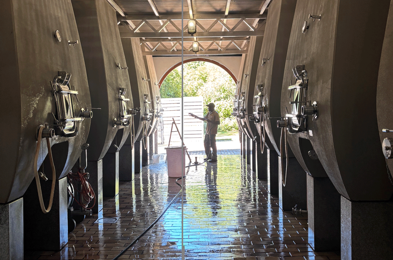 Boekenhoutskloof Cellar