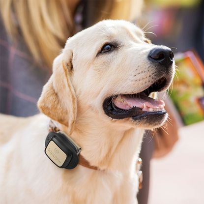 Kippy GPS pet tracker