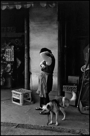 photograph of woman with dog in japan