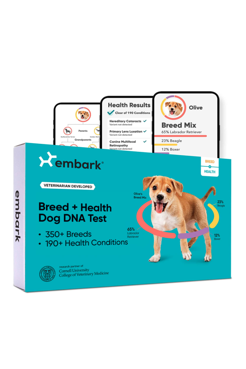 Embark Dog DNA Test Kit