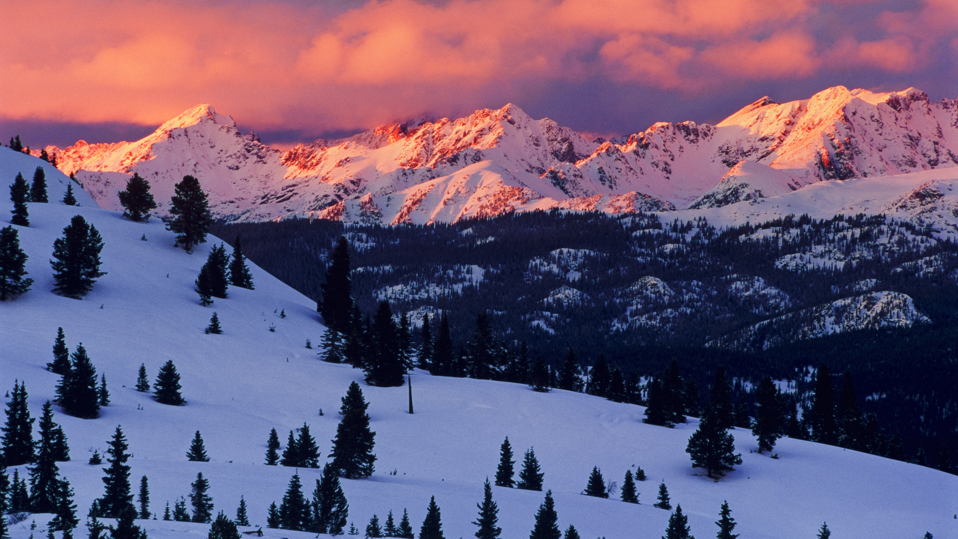 Snowshoeing in Vail: lose the crowds and find the snow | Advnture