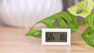 hygrometer showing humidity level and temperature with plant in background
