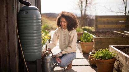 lady filling watering can from a rain barrel