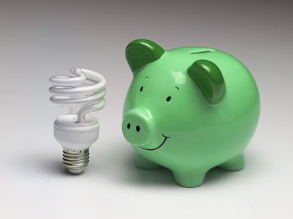 Green piggy bank with energy saving light bulb