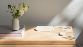 Google TV Streamer on a wooden unit next to a plant