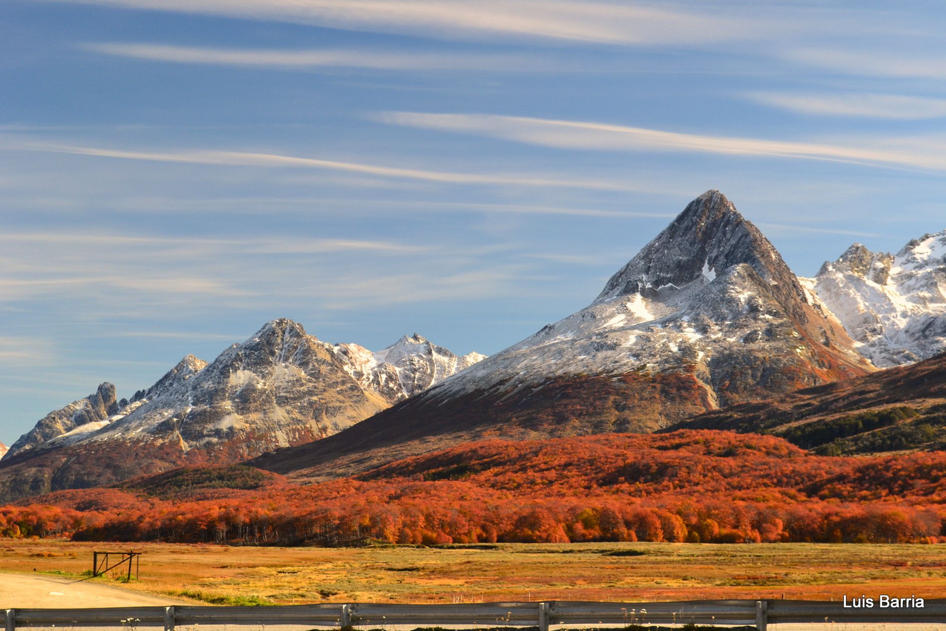 GuruShots - Nature March 2026