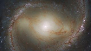 The M91 galaxy in the constellation Coma Berenices in a recent image by the Hubble Space Telescope.