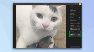 How to edit photos on a Mac for free in macOS Photos