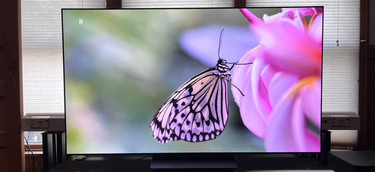 LG C3 OLED TV showing image of pink butterfly onscreen