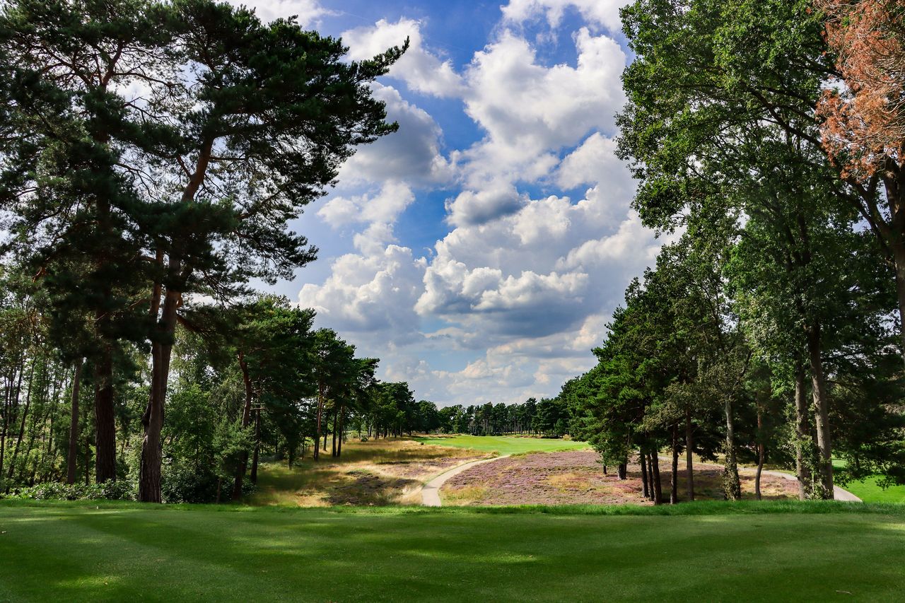 Wentworth&#039;s golf courses weave between towering pines and swathes of heather in one of the most beautiful stretches of land in the south of England.