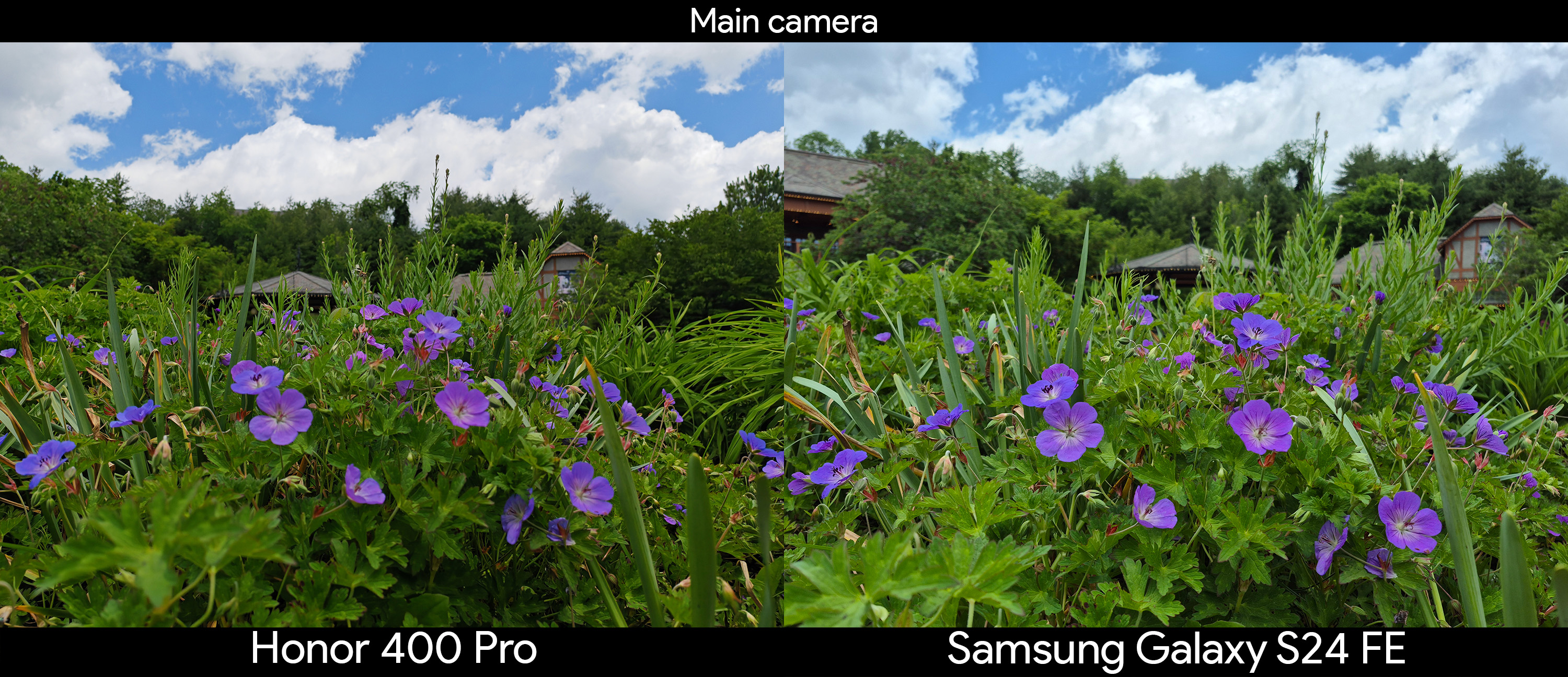 Daylight camera samples comparing the Honor 400 Pro to the Samsung Galaxy S24 FE