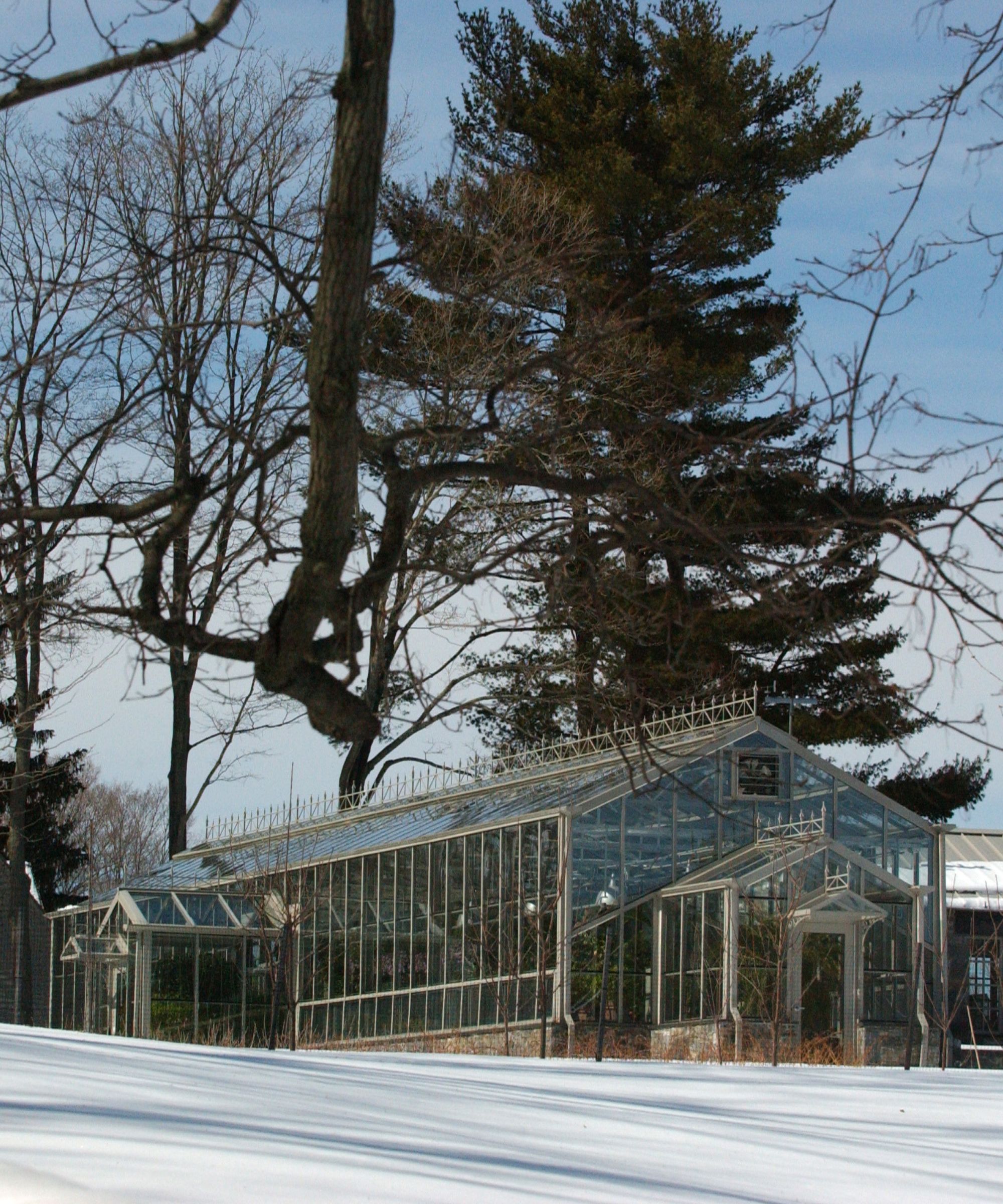 Martha Stewart's greenhouse