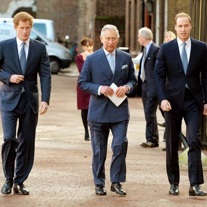 Prince Harry King Charles Prince William