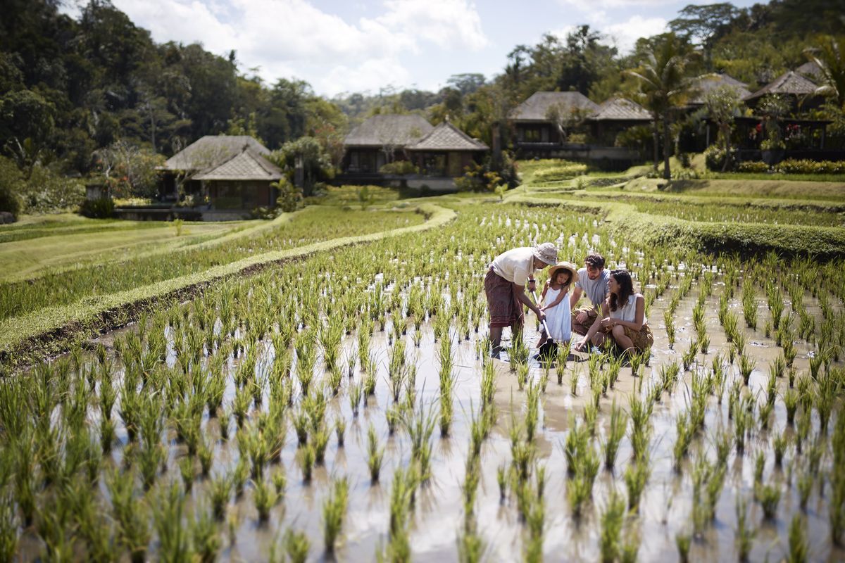 Le guide du week-end à Ubud, Bali