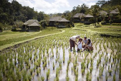 Ubud, Bali