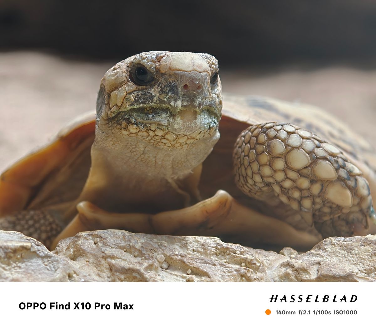 Sample photo taken on the Oppo Find X10 Pro Max
