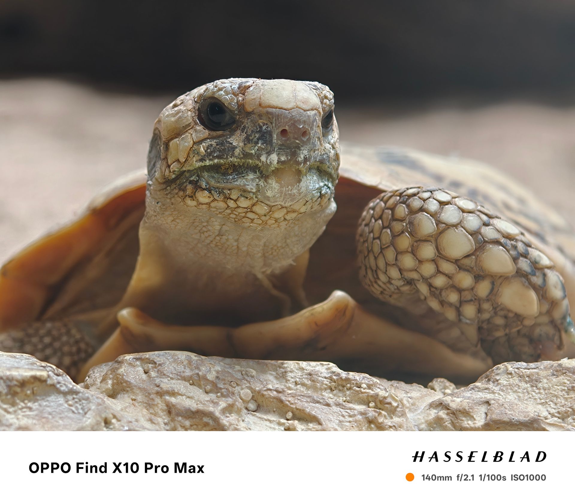 Sample photo taken on the Oppo Find X10 Pro Max