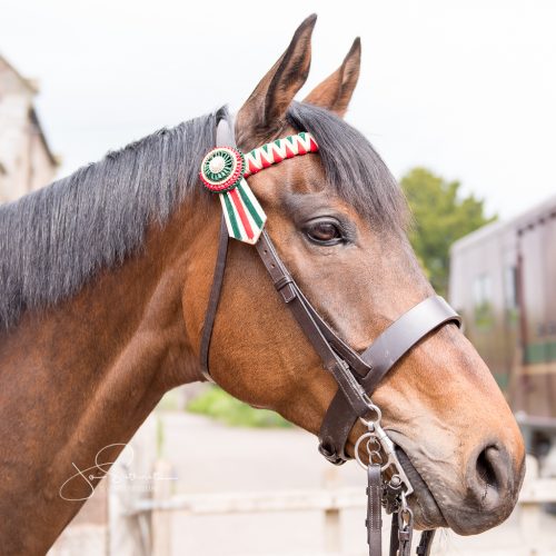 Lafond-Browbands-Un-Temps-Pour-Tout-e1561383772693.jpg