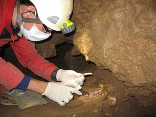 excavation inside blatterhole, germany