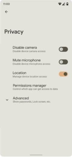 Leaked screenshots for Android 12 developer preview