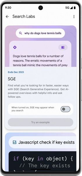 A Google Search Labs example showing a quick query and some coding information.